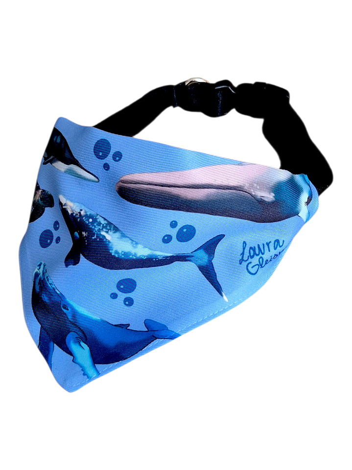 Bandana Perro Ballenas 1