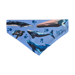Bandana Perro Ballenas