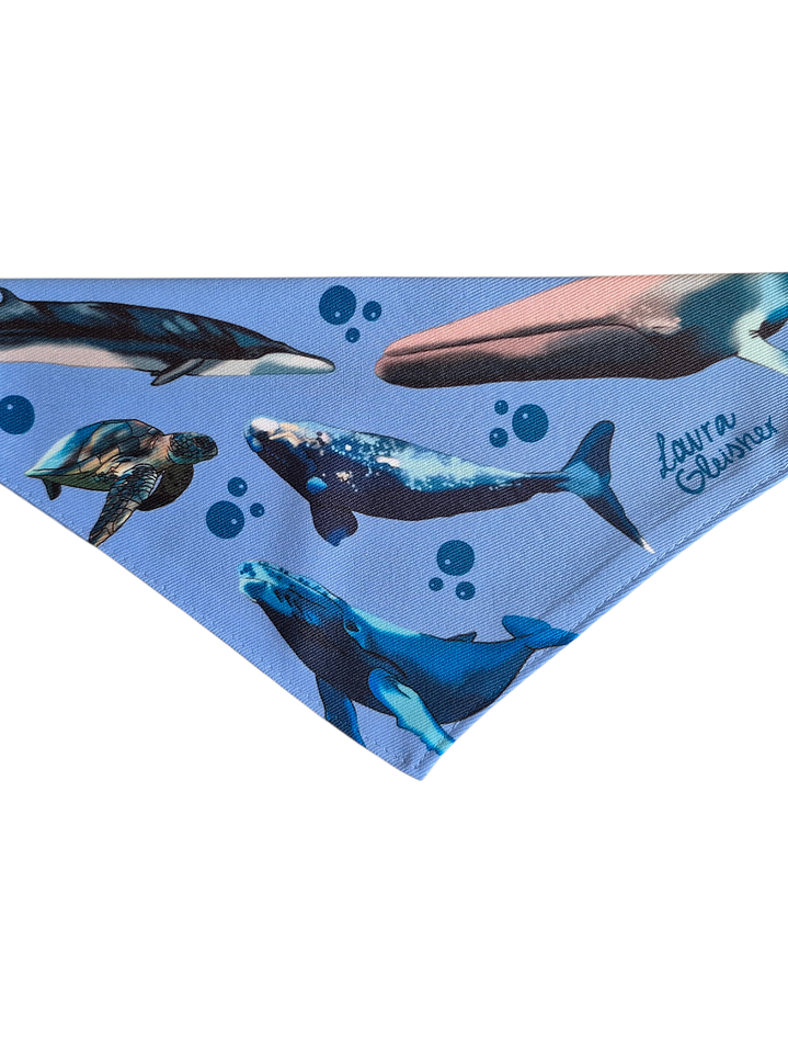 Bandana Perro Ballenas 2