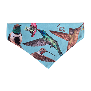 Bandana Perro Picaflores