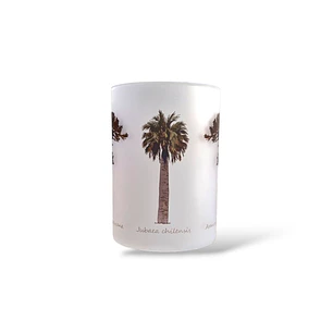 Tazón Glass Araucaria Palma Chilena 295ml