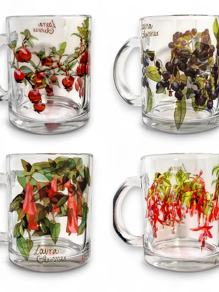 Pack 4 Tazones Vidrio Flora Chilena  1