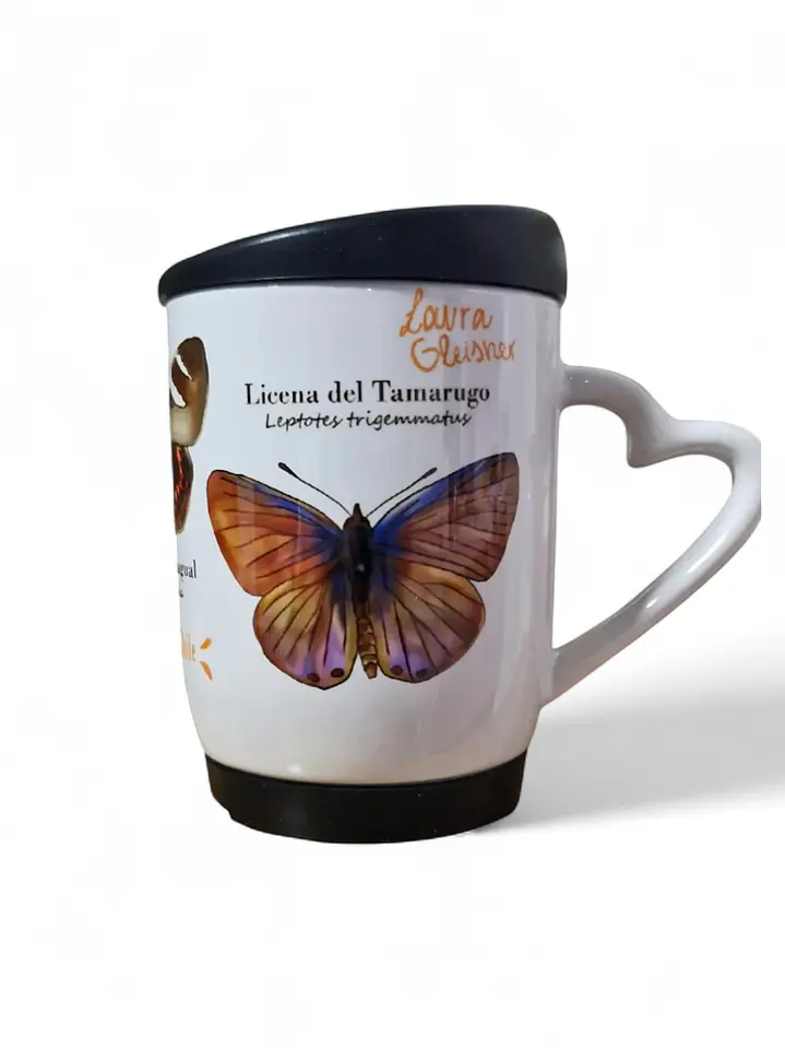 Tazón Cerámica Tapa Mariposas de Chile 350ml 3