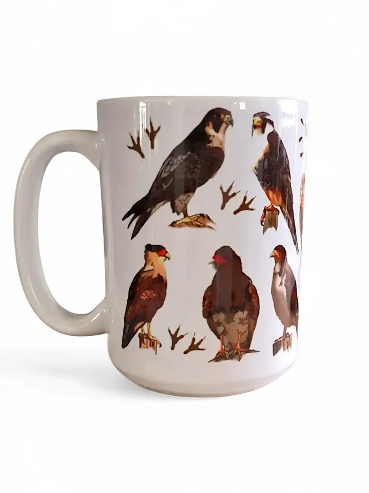 Tazón Cerámica Falconiformes de Chile 443ml 1