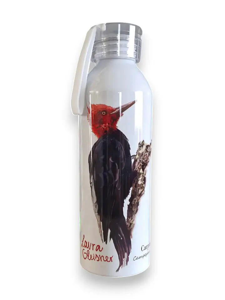 Botella Aluminio Carpintero Negro 750ml 1