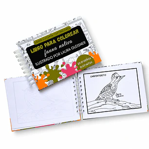 Libro para colorear 