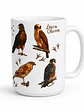 Tazón Cerámica Falconiformes de Chile 443ml - Miniatura 3
