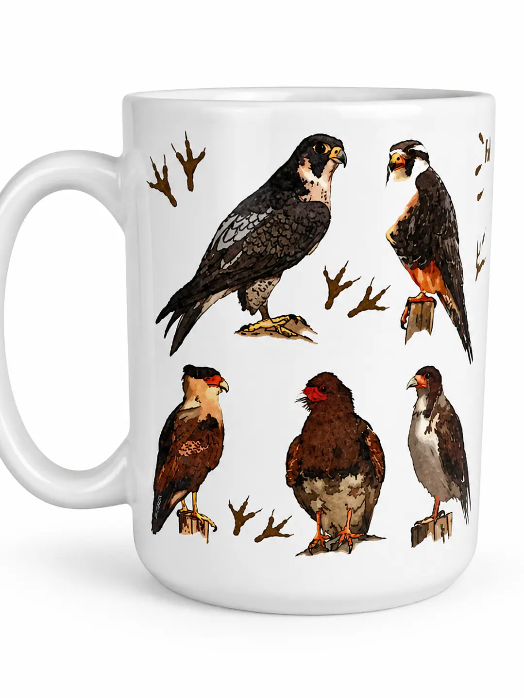 Tazón Cerámica Falconiformes de Chile 443ml 1