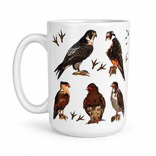 Tazón Cerámica Falconiformes de Chile 443ml