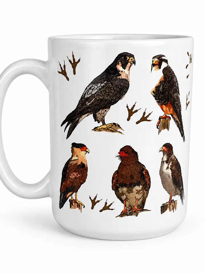 Tazón Cerámica Falconiformes de Chile 443ml 1