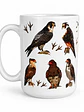 Tazón Cerámica Falconiformes de Chile 443ml - Miniatura 1