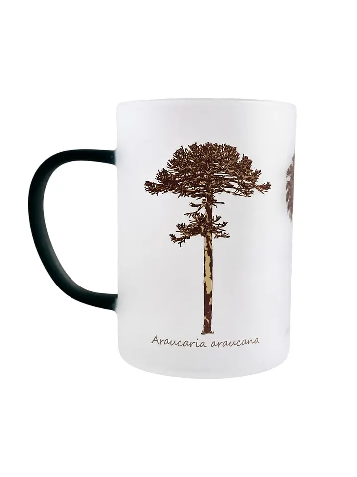 Tazón Glass Araucaria Palma Chilena 295ml 1