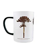 Tazón Glass Araucaria Palma Chilena 295ml - Miniatura 1