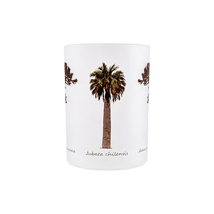 Tazón Glass Araucaria Palma Chilena 295ml