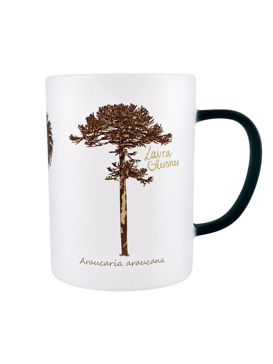 Tazón Glass Araucaria Palma Chilena 295ml 3