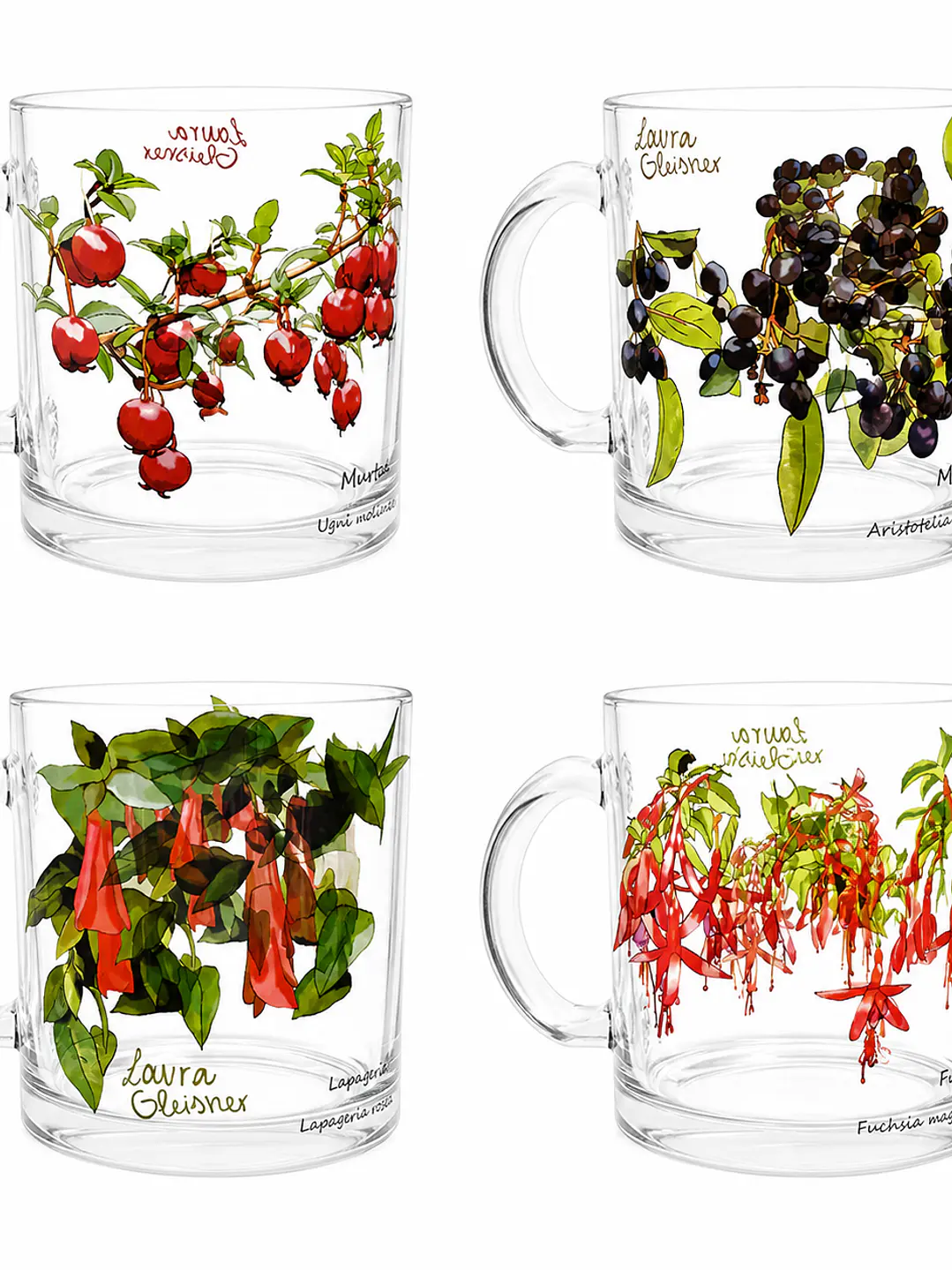 Pack 4 Tazones Vidrio Flora Chilena  1