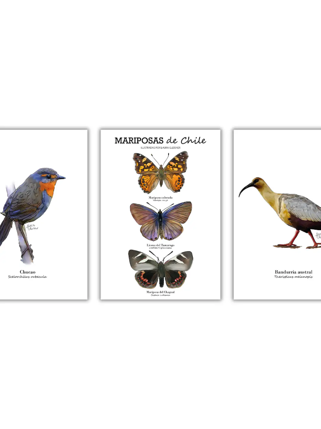 Pack 3 Láminas A4 (a elección) 1