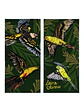 Bandana Loros Chilenos - Miniatura 2