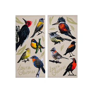 Bandana Aves de Chile