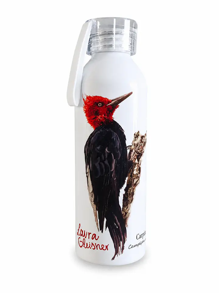 Botella Aluminio Carpintero Negro 750ml 1