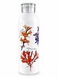 Botella Aluminio Flores Nativas 750ml - Miniatura 2