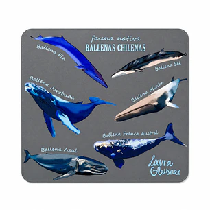 Mousepad Ballenas de Chile