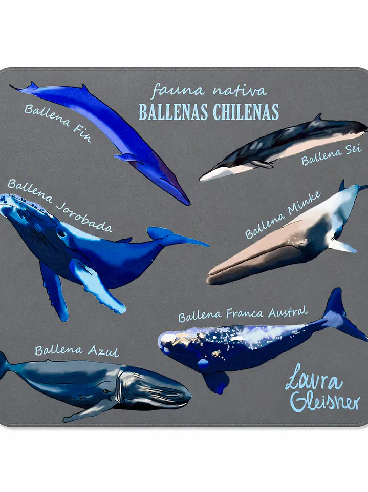 Mousepad Ballenas de Chile 1