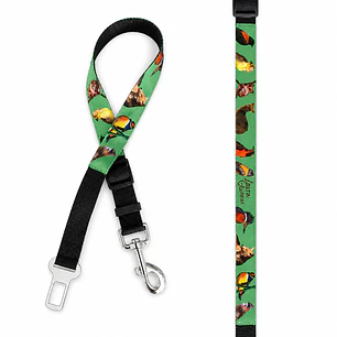 Cinturón de seguridad para perros 