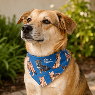 Bandana Perro Zorros