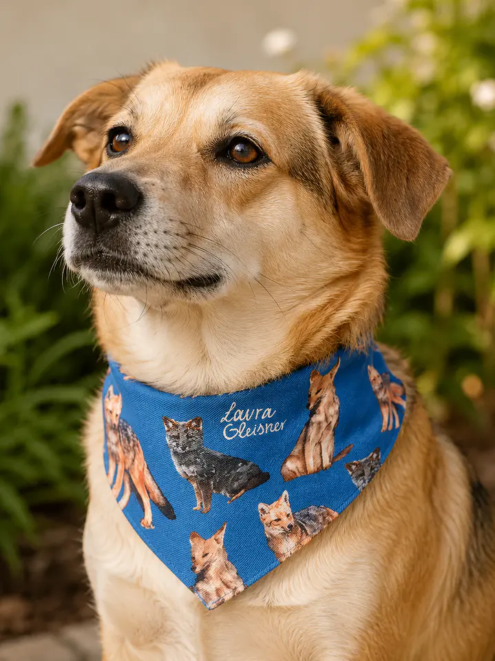 Bandana Perro Zorros 2