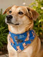 Bandana Perro Zorros - Miniatura 2