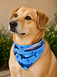Bandana Perro Ballenas - Miniatura 2