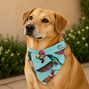 Bandana Perro Picaflores