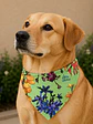 Bandana Perro Flores - Miniatura 2