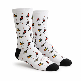 Calcetines Aves de Chile 40-44 