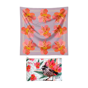 Pack Alstroemeria: Pañuelo + Estuche 
