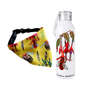 Pack Paseo: Bandana Abejas Para Perro + Botella Ilustrada de Abeja