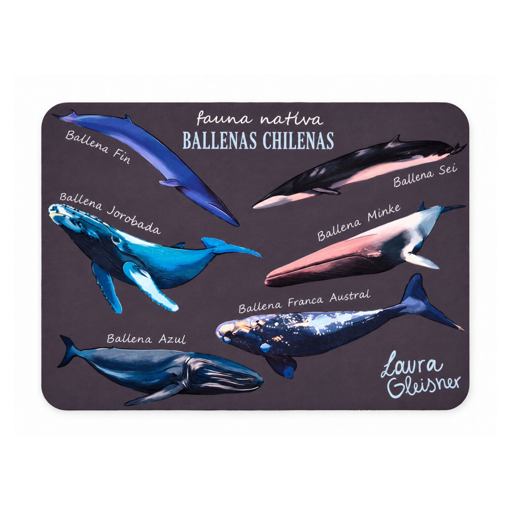 Mousepad Ballenas de Chile