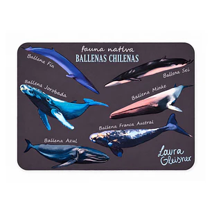 Mousepad Ballenas de Chile