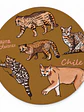 Mousepad Felinos de Chile Redondo - Miniatura 1
