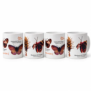 Pack 4 Tazones Cerámica: Mariposas de Chile