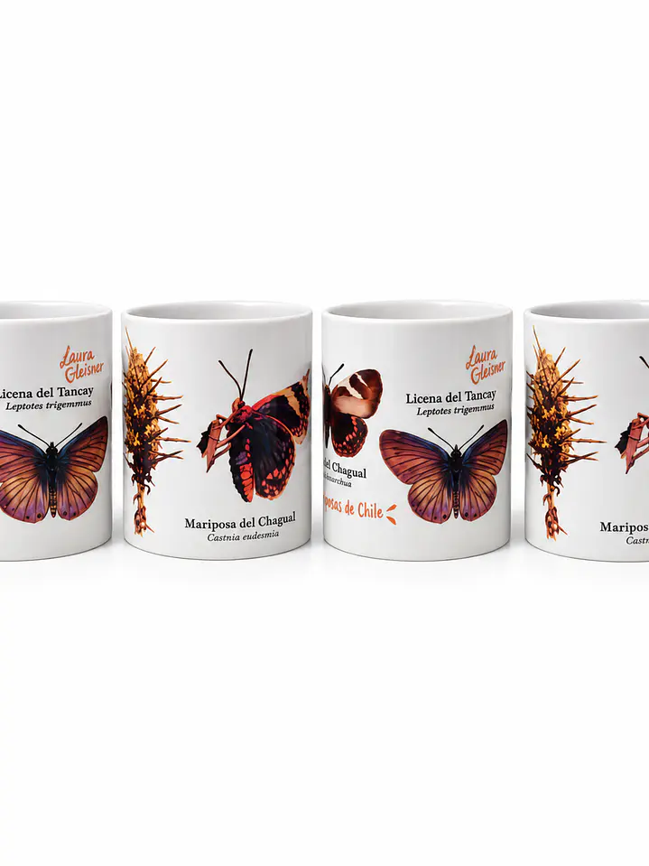Pack 4 Tazones Cerámica: Mariposas de Chile 1