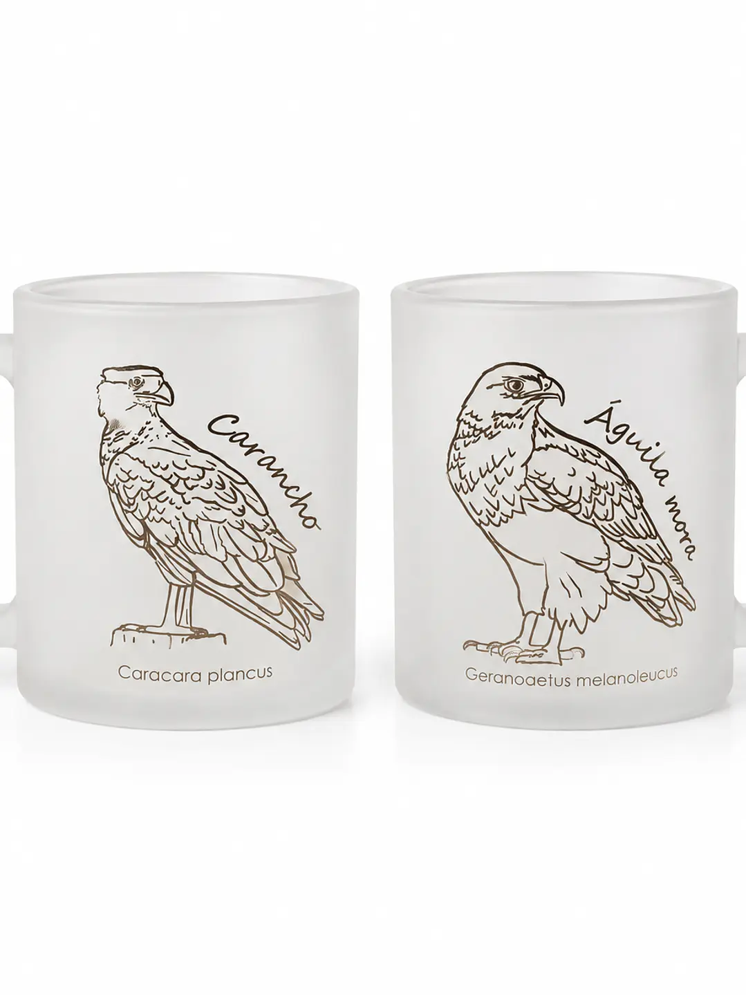 Pack 2 Tazas Vidrio Empavonado: Carancho y Águila Mora 1