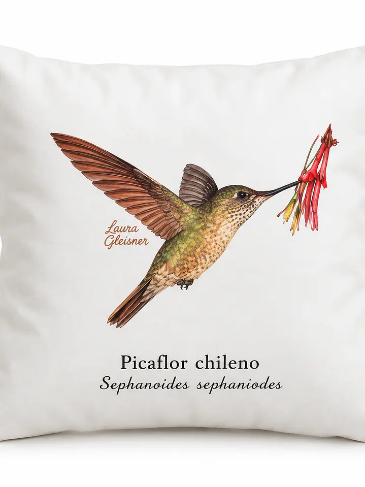 Funda de cojín: Picaflor Chico (sin relleno) 1