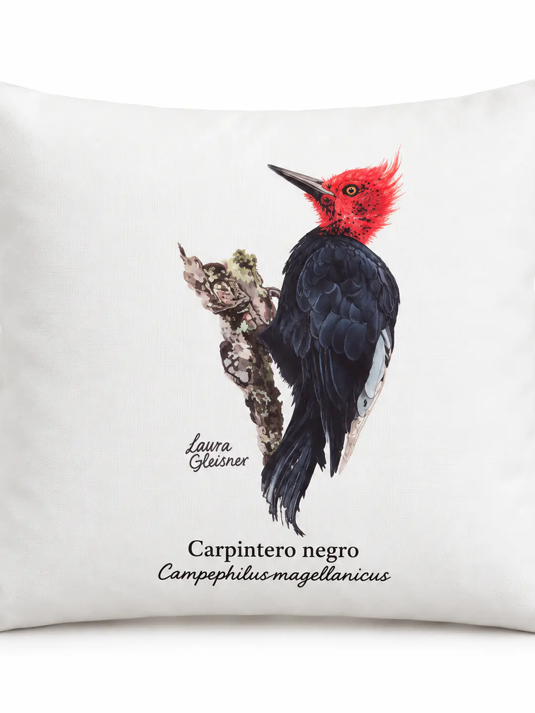 Funda de cojín: Carpintero Negro (sin relleno) 1