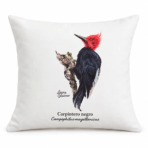Funda de cojín: Carpintero Negro (sin relleno)