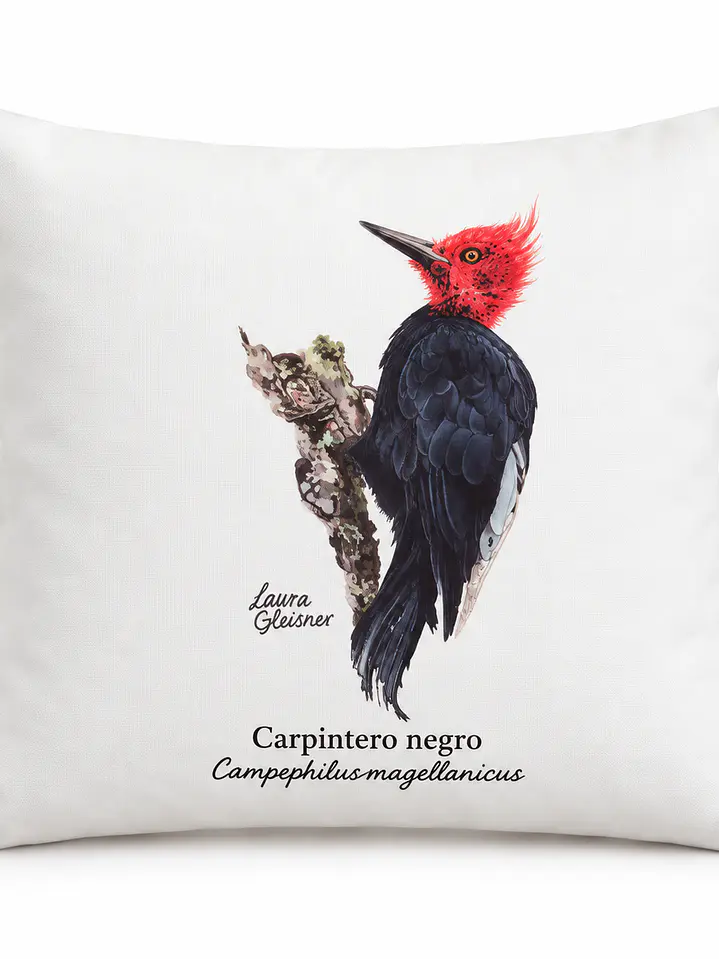 Funda de cojín: Carpintero Negro (sin relleno) 1