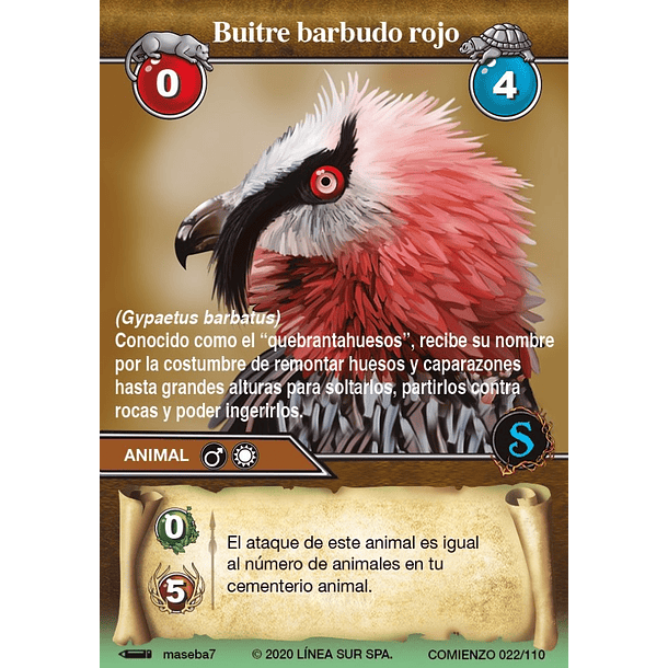 Buitre barbudo rojo - 022/110 | Edición Comienzo SELVA TCG