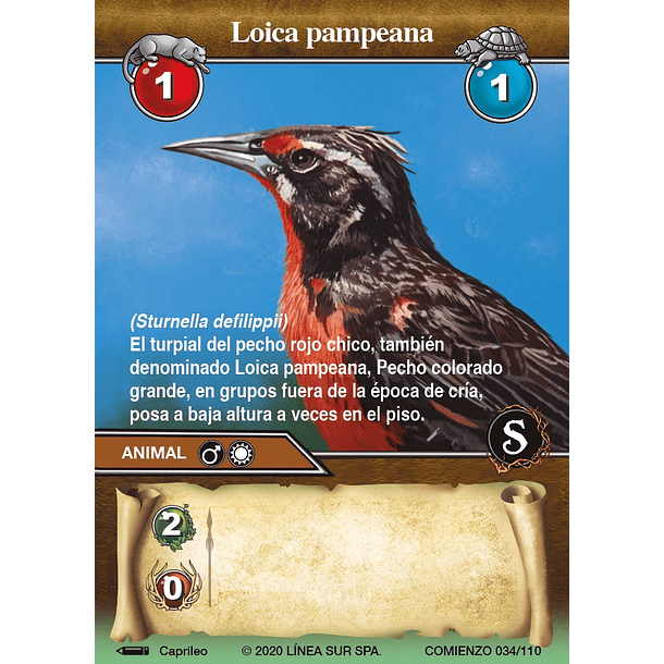 Loica pampeana- 034/110 | Edición Comienzo SELVA TCG