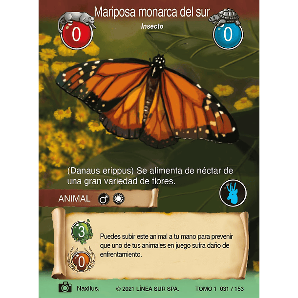 Mariposa monarca del sur- 031/153 | Edición Tomo I SELVA TCG